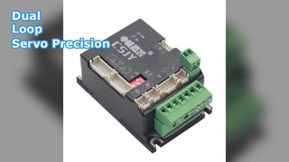 ไดรเวอร์เซอร์โวแบบดูอัลลูป